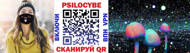 Галлюциногенные грибы Cubensis  Волосово 